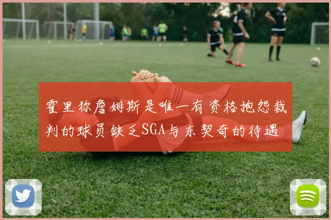 霍里称詹姆斯是唯一有资格抱怨裁判的球员缺乏SGA与东契奇的待遇